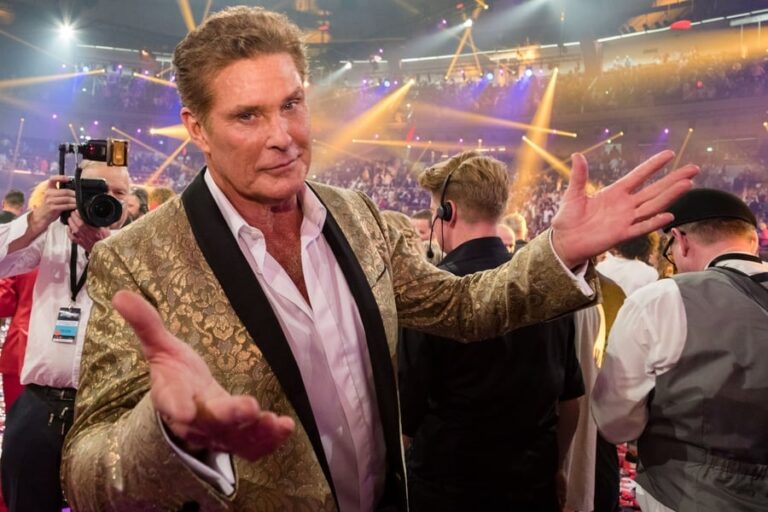 David Hasselhoff Vermögen