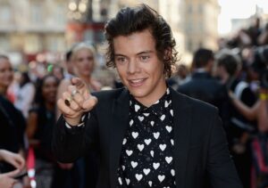 Harry Styles Vermögen