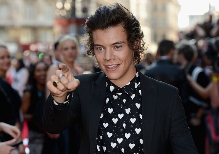 Harry Styles Vermögen