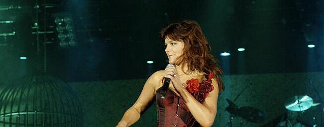 andrea berg vermogen