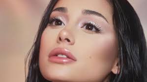 Ariana Grande Vermögen