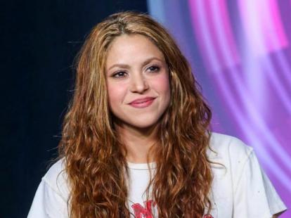 Shakira Vermögen
