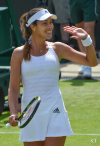 Ana Ivanovic Vermögen