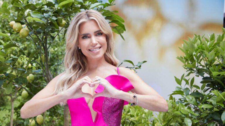 Sylvie Meis Vermögen